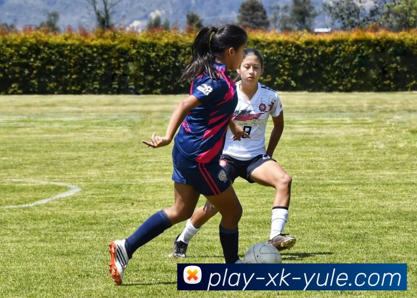 星空娱乐APP 封面图